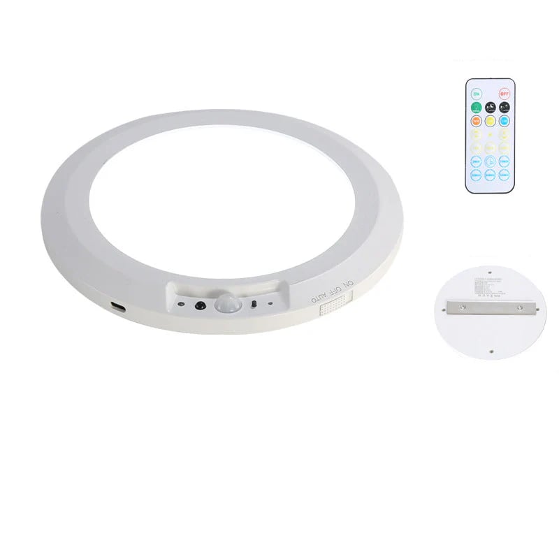 Hero image of the smart motion sensor ceiling light