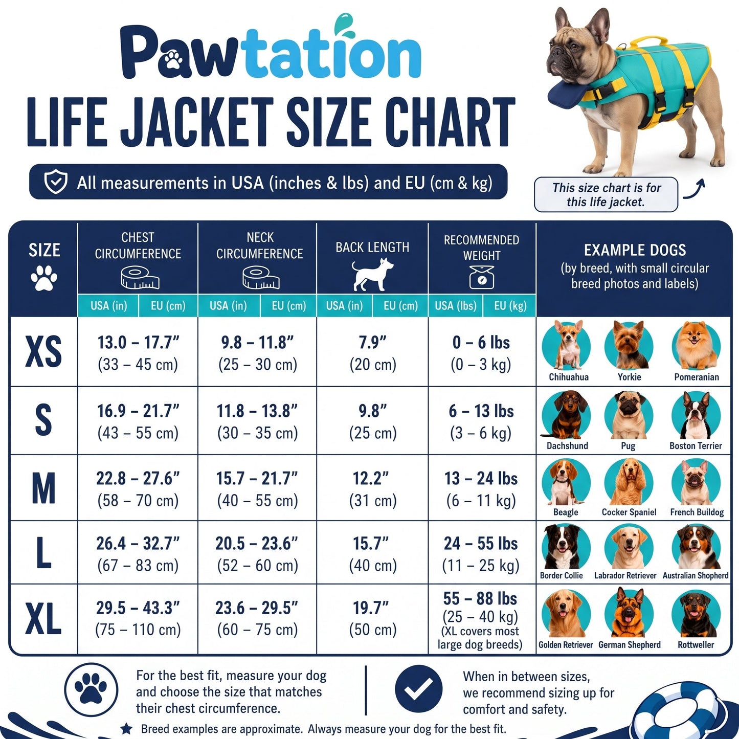 🐾Dog Life Jacket With Chin Support