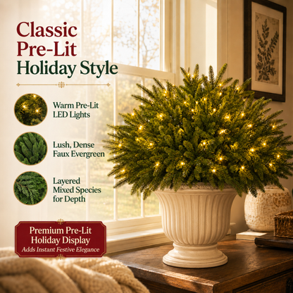 🎄 Enchanted Evergreen Pines | Bring a Little Christmas Magic Home ✨