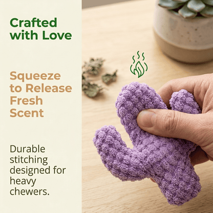 🔥Handmade Soft Cactus Kitten Chew Toys with Natural Catnip