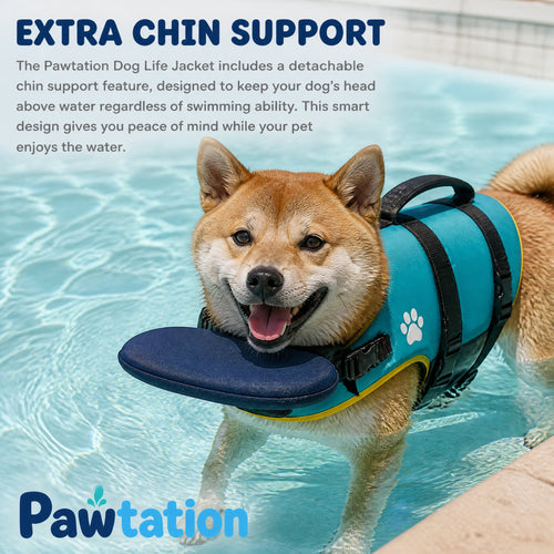 🐾Dog Life Jacket With Chin Support