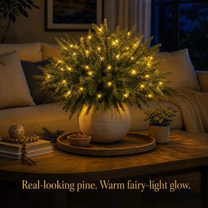 🎄 Enchanted Evergreen Pines | Bring a Little Christmas Magic Home ✨