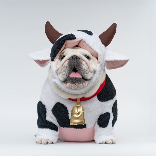 WONTON Moo Moo Cow Costume