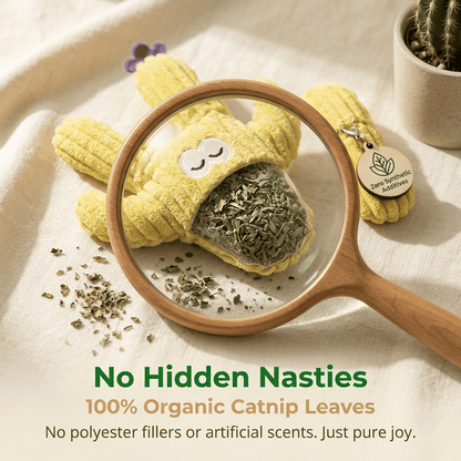 🔥Handmade Soft Cactus Kitten Chew Toys with Natural Catnip