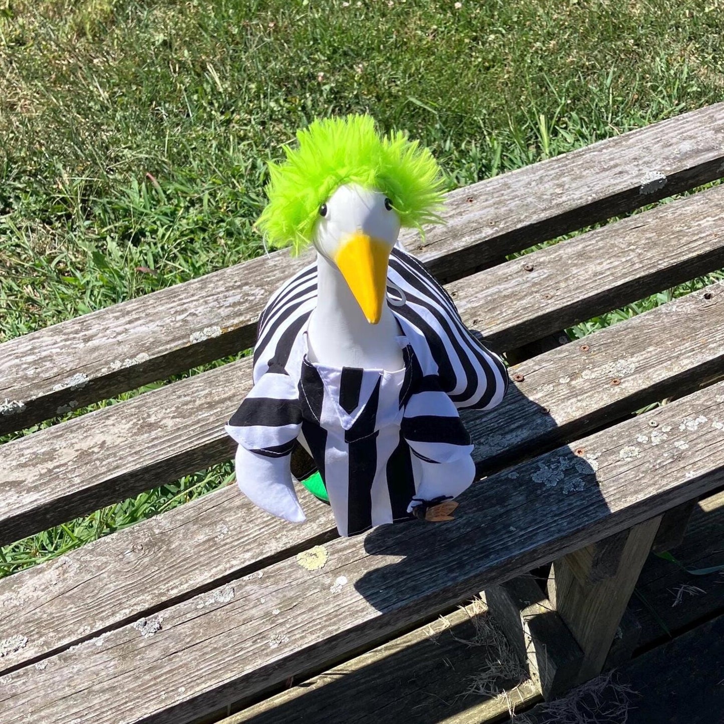 🦢VALORS TOP™Halloween Costume Porch Goose Outfit for 23" Plastic/ Cement Goose Statues