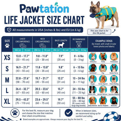 🐾Dog Life Jacket With Chin Support