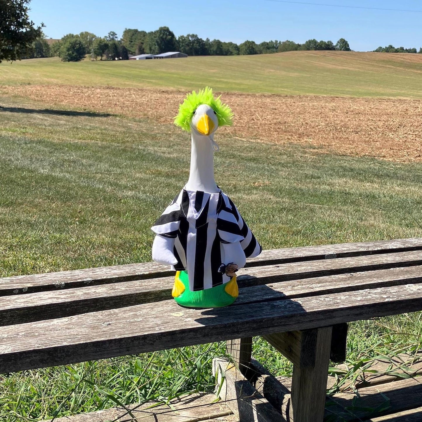 🦢VALORS TOP™Halloween Costume Porch Goose Outfit for 23" Plastic/ Cement Goose Statues