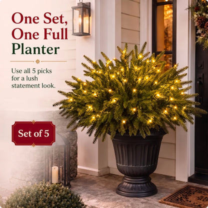 🎄 Enchanted Evergreen Pines | Bring a Little Christmas Magic Home ✨